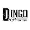 Dingo